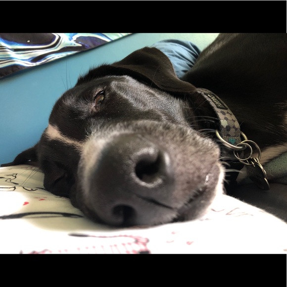 Meet your Posher, Suzanne - Picture 1 of 1